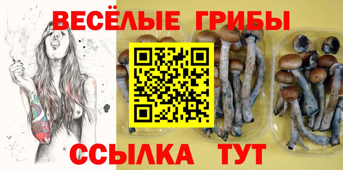 Долгопрудный  Псилоцибиновые грибы мицелий  купить наркоту  Вход с VPN  Галлюциногенные грибы ЛСД 